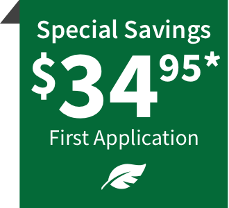 Special Savings on First Application