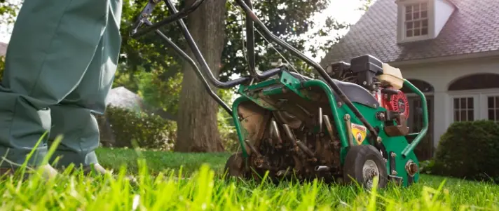 Local lawn service gallery