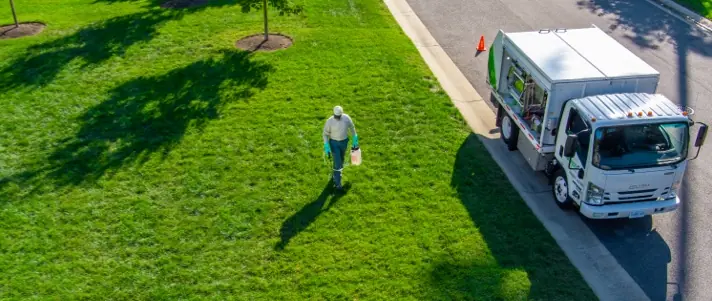 Local lawn service gallery