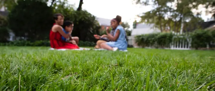 Local lawn service gallery