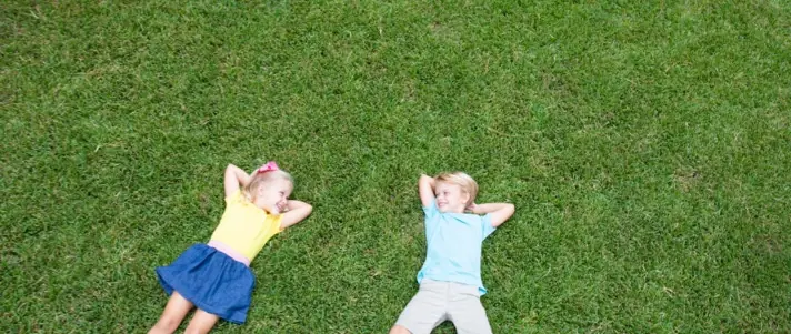 Local lawn service gallery