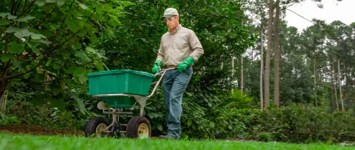 Local lawn service gallery