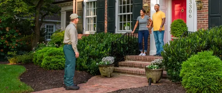 Local tree and shrub service gallery