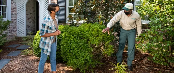 Local tree and shrub service gallery