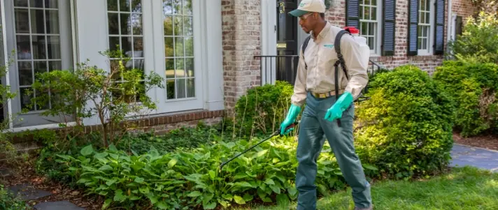 Local tree and shrub service gallery