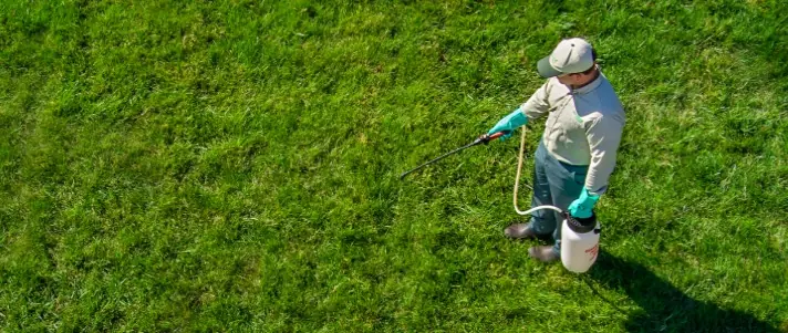 Local lawn service gallery