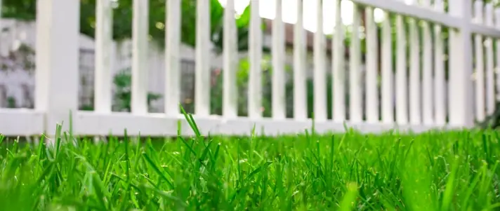 Local lawn service gallery